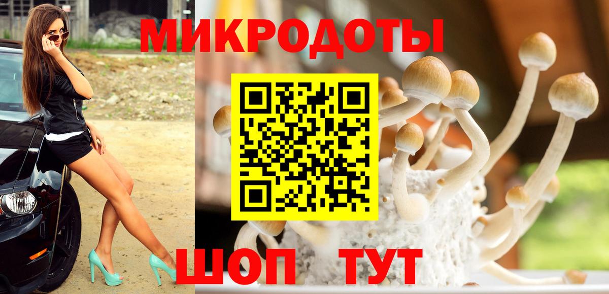 Галлюциногенные грибы мицелий  Вход с VPN  Красногорск 
